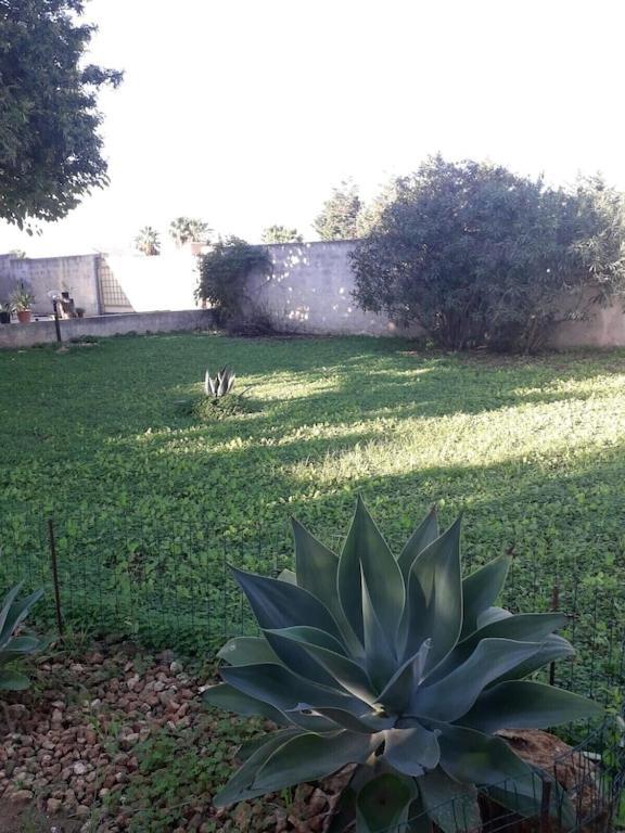 Villa singola a 1300 mt dal mare Mazara del Vallo Esterno foto